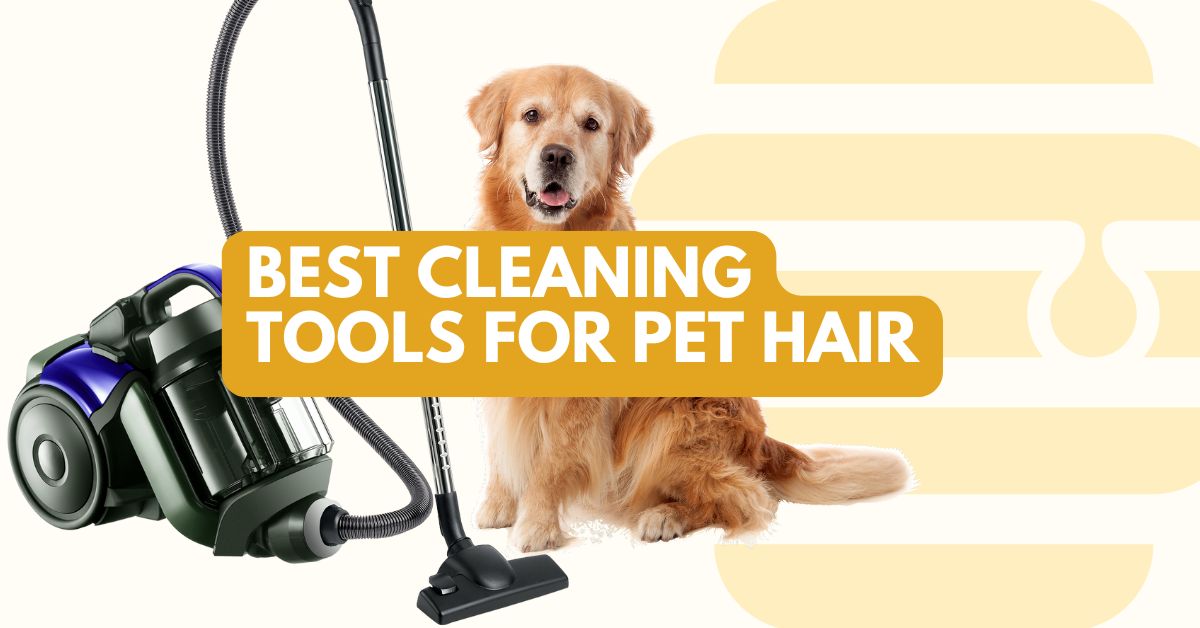 Best Cleaning Tools For Pet Hair